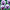 Pansy Majestic Giants II Mix