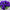 Pansy Majestic Giants II Mix