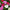 Cosmos Seeds Sensation Mix colors of Pink, White, and Maroon Cosmos Flower Seeds.