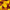 French Marigold Seed Safari Mix  Seeds