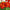 Heirloom French Marigold Seed Durango Red Flower Seeds