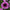 Petunia Daddy Sugar Seeds