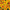 Heirloom Marigold Durango Bolero Marigold Seeds