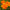 Heirloom Flower French Marigold Seed Durango Mix Flower Seeds