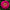 Benary's Giant Mix Zinnia Seeds  Benary's Giant Zinnia Mix Seed