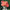 Benary's Giant Mix Zinnia Seeds  Benary's Giant Zinnia Mix Seed