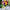 Benary's Giant Mix Zinnia Seeds  Benary's Giant Zinnia Mix Seed