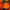 Heirloom French Marigold Seed Safari Bolero Seeds