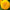 Teddy Bear Sunflower Seeds - Flower Seeds, Dwarf Sunflower,