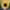 ProCut Peach Sunflower Seeds