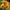 Viola Seeds Angel Tiger Eye Yellow Flower Seeds