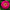 Benary's Giant Deep Wine Zinnia Seeds