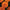 Bonanza Deep Orange Marigold Seeds
