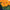 Bonanza Deep Orange Marigold Seeds