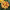 Marigold Alumia DT Creme Brulee Seeds
