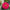 Magellan Mix  Zinnia Seeds