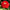 Zinnia Seed Cherry Queen Zinnia Seeds