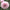 Dahlia Sweet Nathalie Tubers