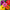 Confetti Zinnia Mix Seeds