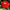 Zinnia Seed Cherry Queen Zinnia Seeds