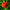 Zinnia Orange King Heirloom Seeds