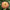 Queeny Lime Mix Zinnia Seeds .blend of Queeny series zinnias.