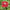 Benary's Giant Deep Red Zinnia Seeds