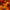 New World Fireball Heirloom Marigold Seeds