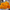 Marigold Coco Deep Gold Seed