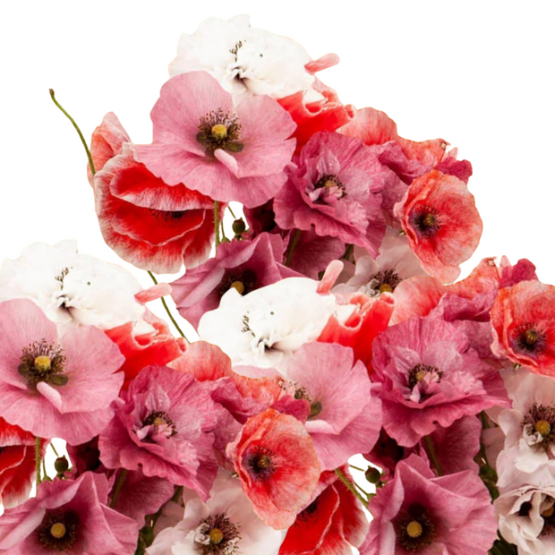 Poppy Seeds Mother of Pearl