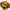 Gerbera Cartwheel Autumn Colors Seed