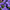 Aster Seeds Paeony Duchess Dark Blue Aster Seeds