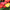Gerbera Colorbloom Mix Seeds