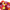 Benary's Giant Mix Zinnia Seeds  Benary's Giant Zinnia Mix Seed