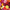 Benary's Giant Mix Zinnia Seeds  Benary's Giant Zinnia Mix Seed