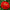 Zinnia Gigantica Mix Seeds, Zinnia Elegans