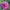 Zinnia Gigantica Lavender Seeds, Zinnia Giant dahlia flowered