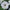 Petunia Trilogy Silver Blotch Seeds