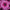Petunia Easy Wave Pink Passion Seeds