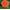 Benary's Giant Salmon Rose Zinnia Seeds,