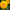 Teddy Bear Sunflower Seeds - Flower Seeds, Dwarf Sunflower,