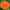 Fruity Beauty Mix Zinnia  Seeds Wild Flower Seeds