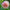 Cafe Au Lait Dahlia Tuper