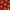 French Marigold Seeds Disco Mix Seeds
